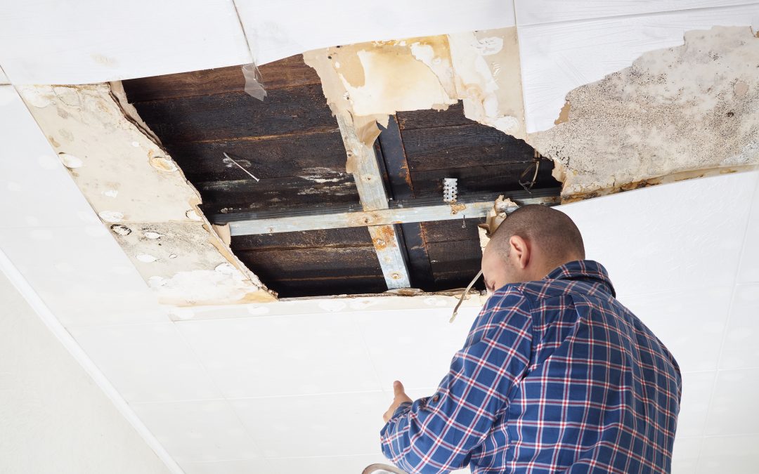 Home Maintenance Tasks to Tackle in January