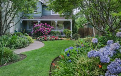 Lawn & Landscaping Mistakes That Can Impact Your Home