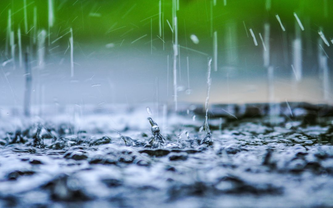 Spring Rain Problems Every Homeowner Should Watch For