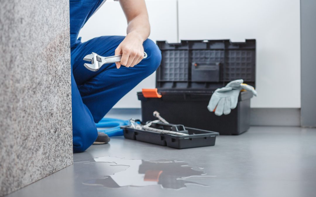 Common Signs of Water Damage and What to Do About It